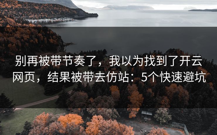 别再被带节奏了,我以为找到了开云网页,结果被带去仿站:5个快速避坑