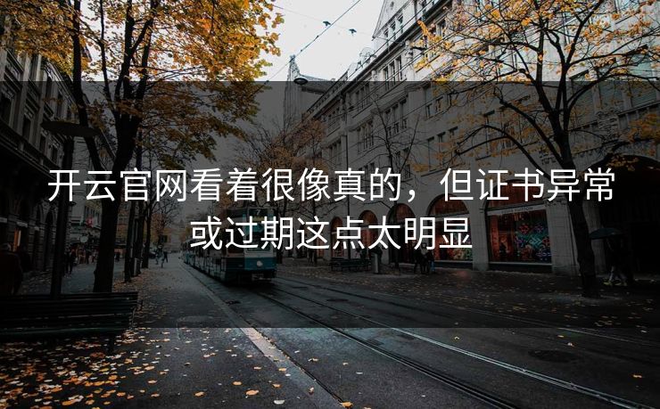 开云官网看着很像真的，但证书异常或过期这点太明显